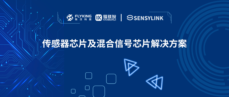 芯版圖 | 攜手申矽凌，高性能傳感器芯片及混合信號芯片已就位